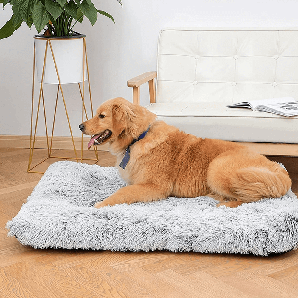 Cama Ergonômica Pet Sleep